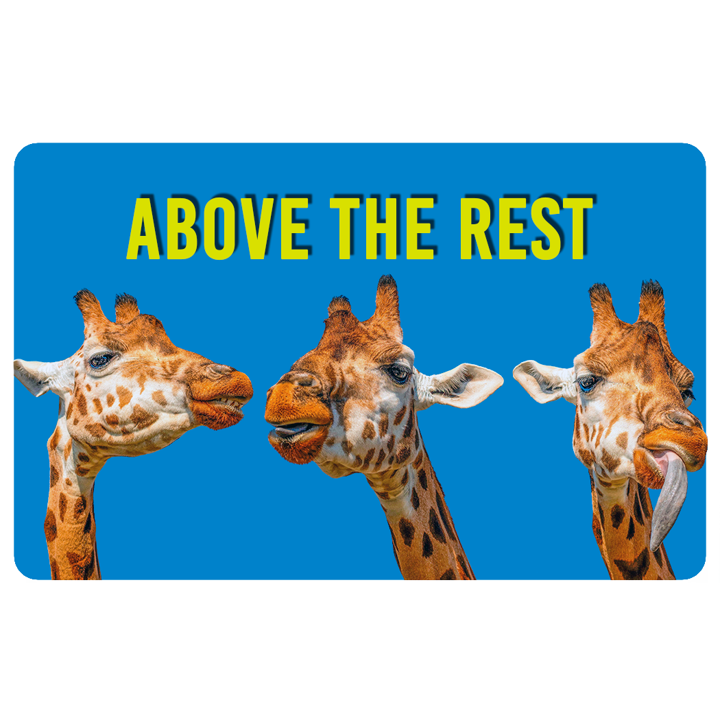 giraffe