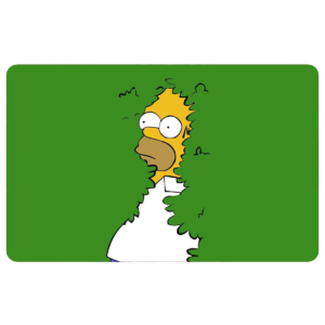 homer_simpson_bush